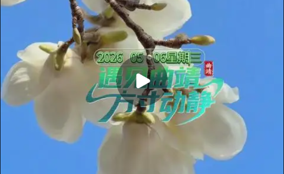 有一种叫云南的生活·遇见曲靖 曲靖五张名片｜三大优势 一树玉兰开，满目皆芳华。遇见曲靖，方寸动静！