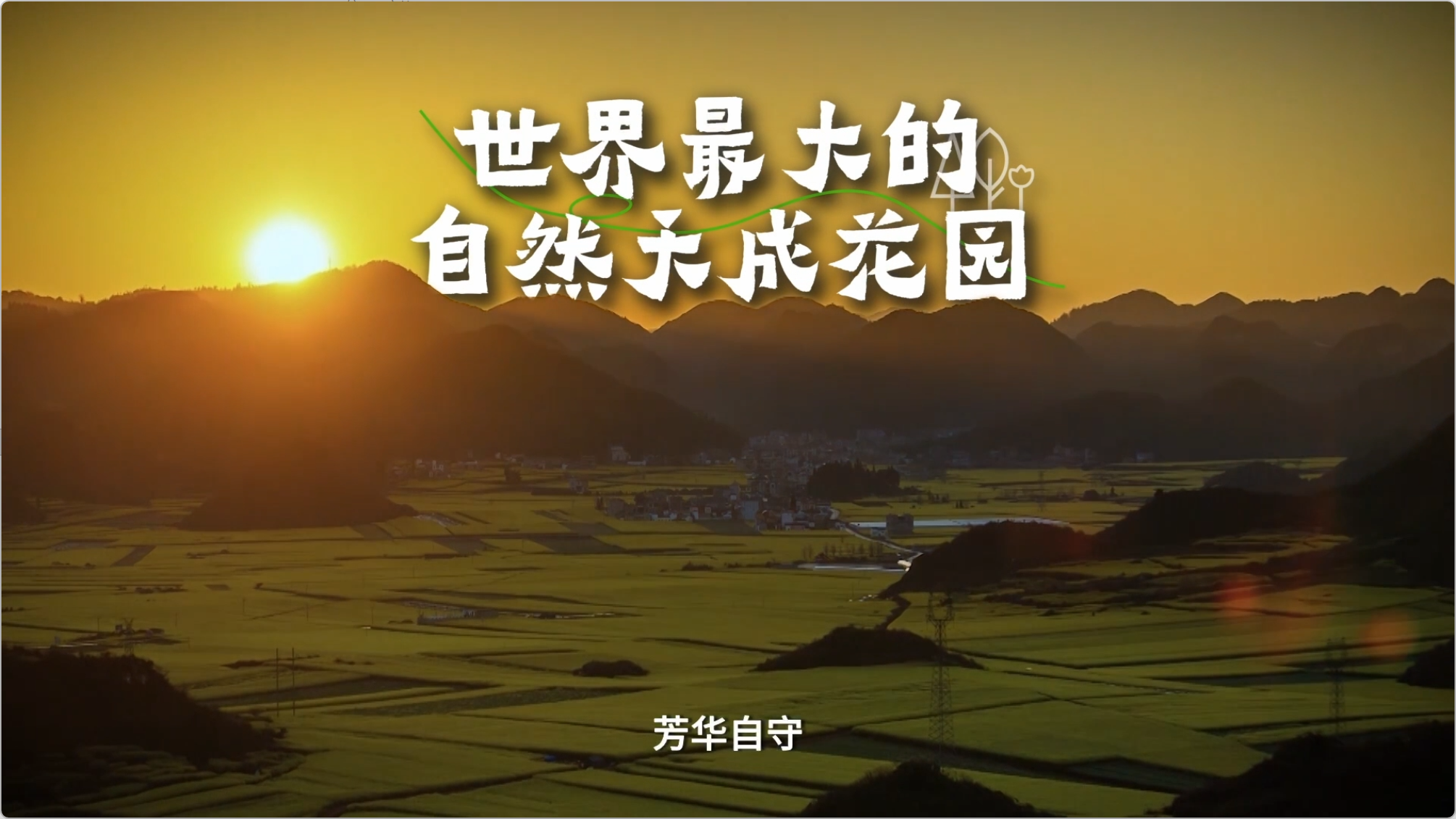 云南省党规党纪AI人机大赛·曲靖赛即将开启，敬请期待！