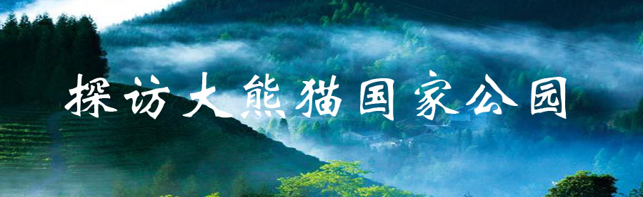 探访大熊猫国家公园
