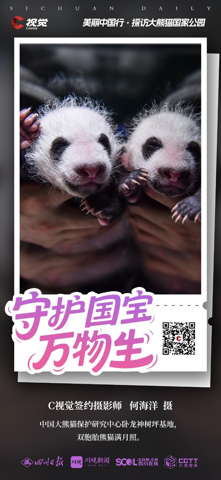 守护国宝 万物生丨美丽中国行·探访大熊猫国家公园