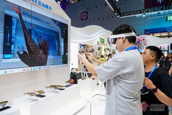 【我的文博故事】光影溯沧海VR体验区探秘“古鱼王国”