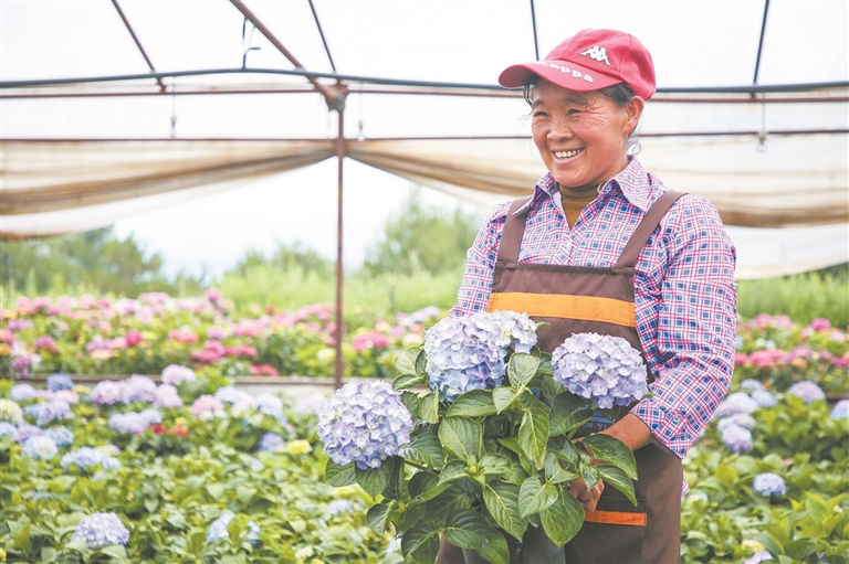 能人返乡兴产业 花海飘香助增收