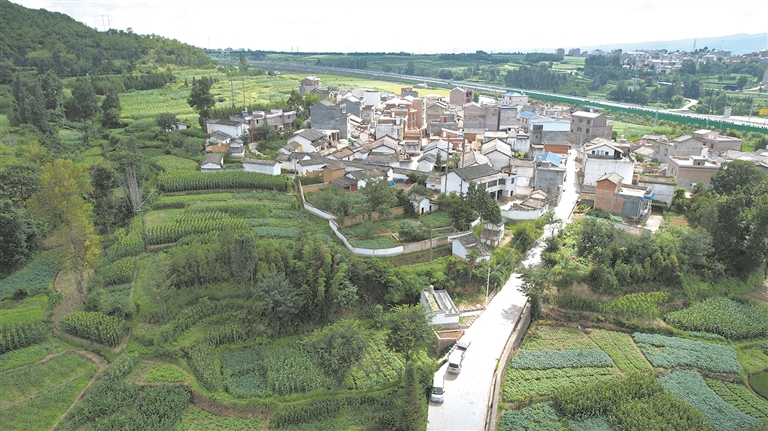 新硬化的水泥路。李南南 摄