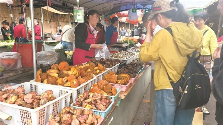 市民选购野生菌。李南南 摄