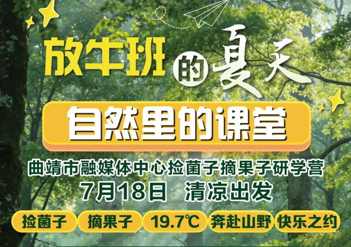 报名约起！进山捡菌子咯！还有摘果子和土味农家宴，曲靖融媒带队！你带娃！