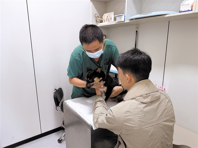 蒋桃：献血暖病患  行医护“毛孩”