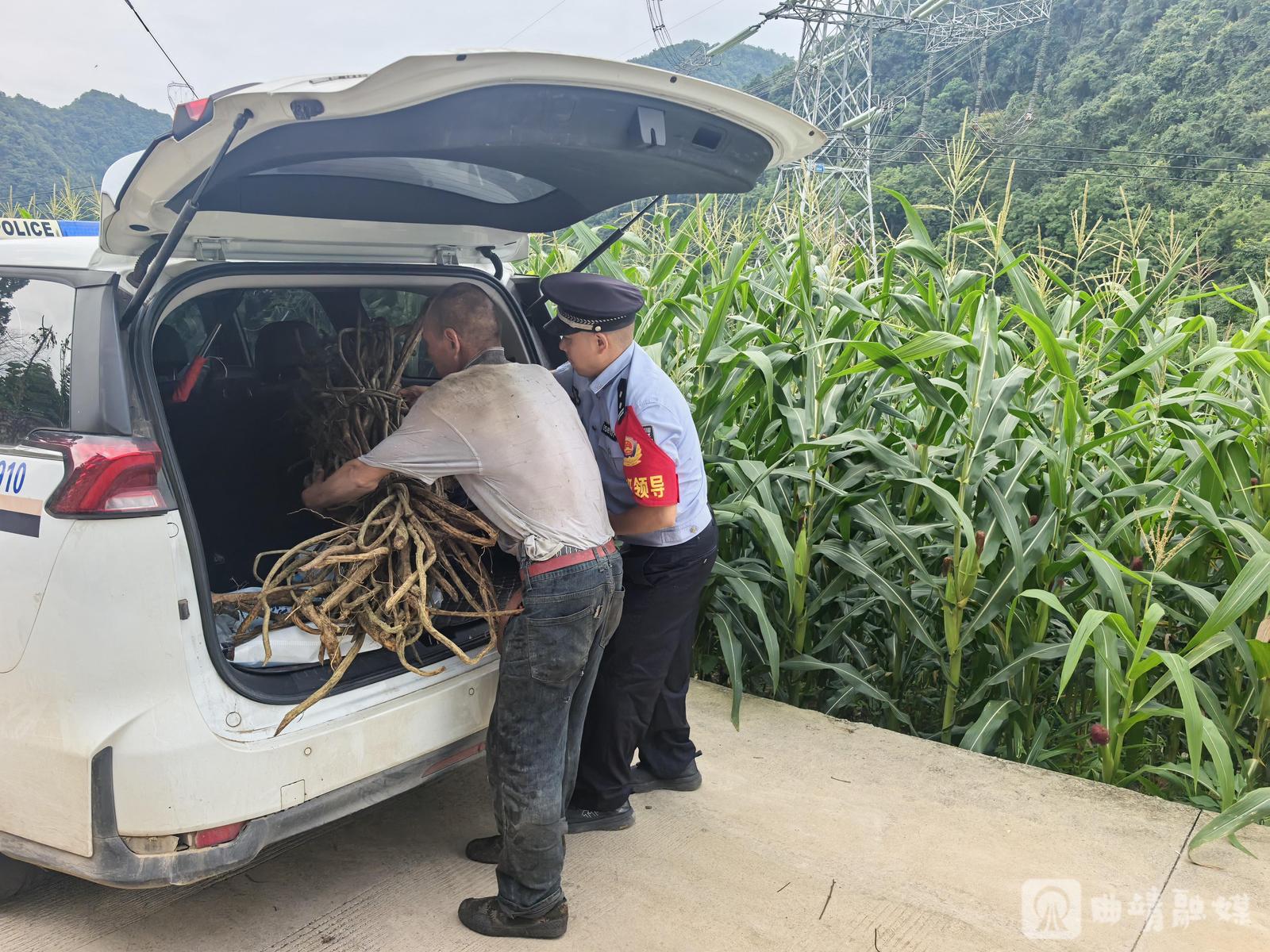 男子进山找鸡枞一夜未归 民警搜山找到时他正忙着“挖草药”