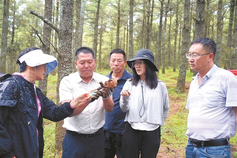 学习种植管理经验。 王园芬 摄