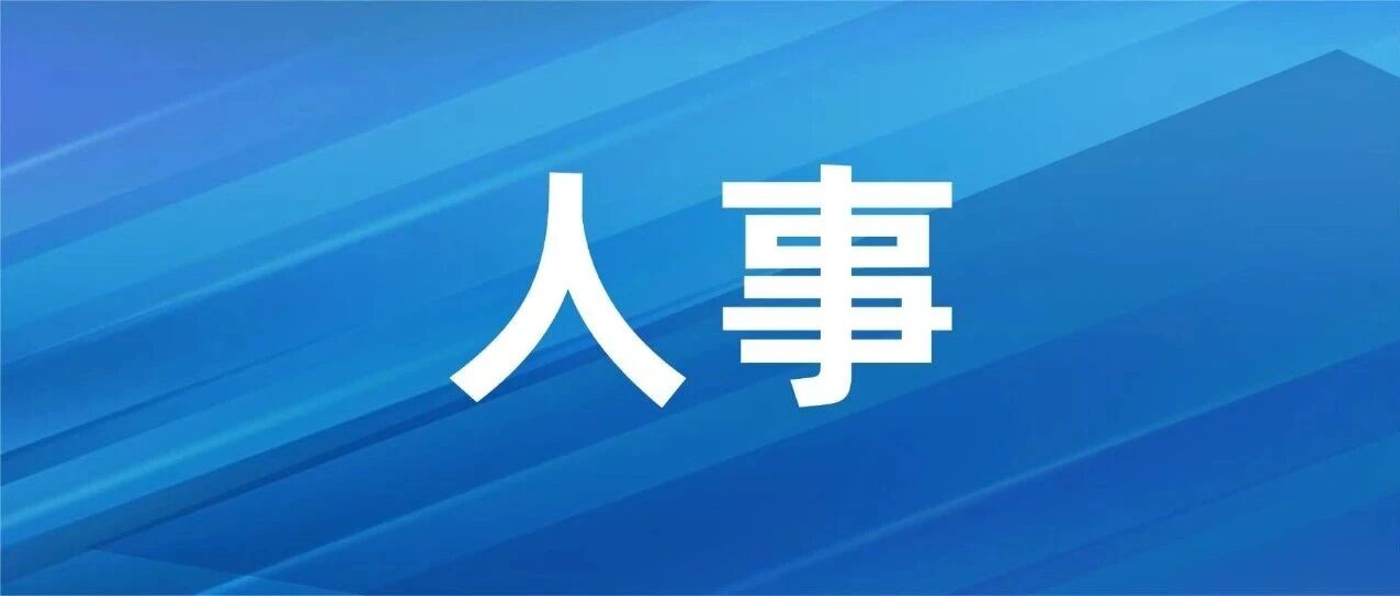 曲靖市人大常委会通过一批人事任免