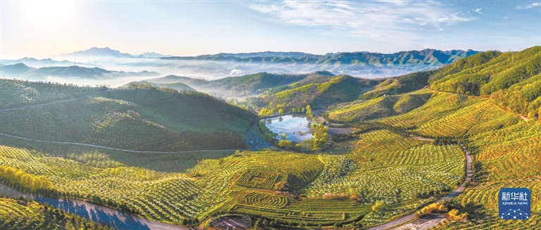 凤城市鸡冠山上的云海。新华社发